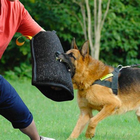 dog bite training sleeve